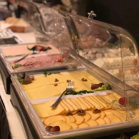 中心商务酒店 酒店