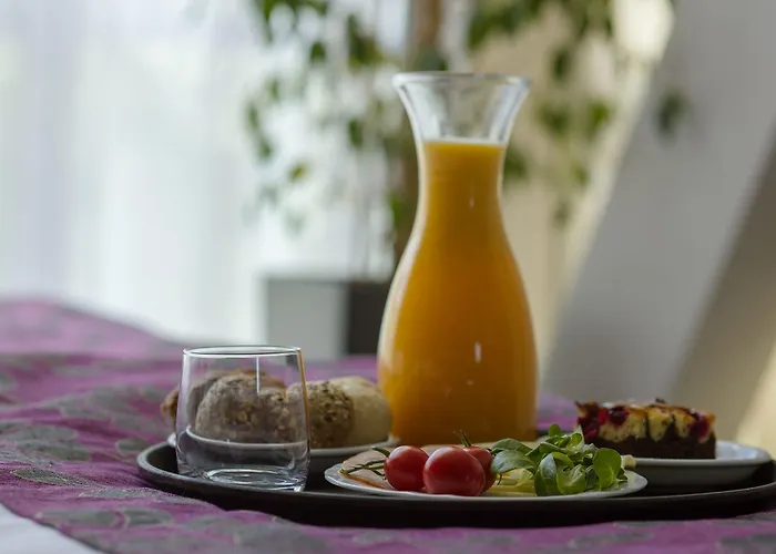 Centrum Business 酒店 克拉科夫